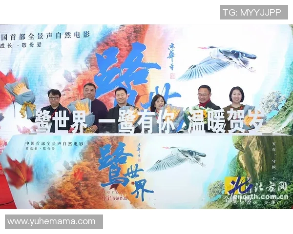 成都攀岩队转型之路的探索与成长纪实记录
