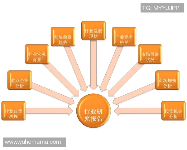 深圳羽毛球队的控制策略与发展前景深度解析