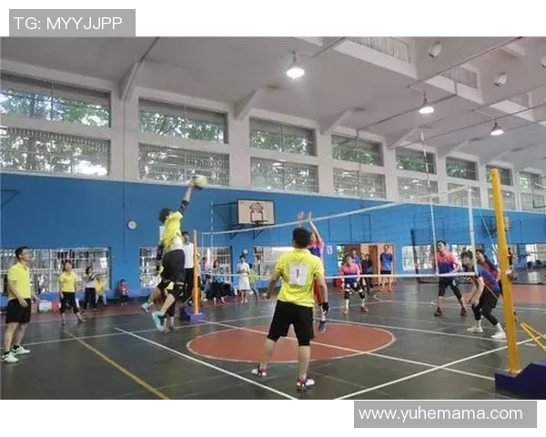 广州排球队荣登排球节奏排行榜第六名展现强劲实力与团队协作