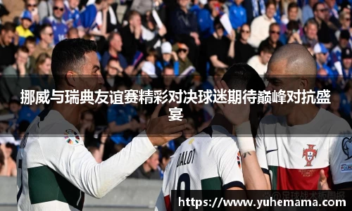 挪威与瑞典友谊赛精彩对决球迷期待巅峰对抗盛宴